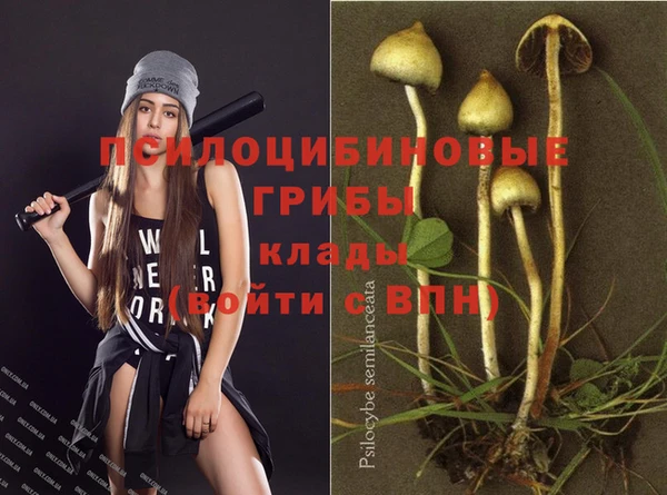 амф Зеленодольск