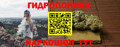 экстази Кингисепп