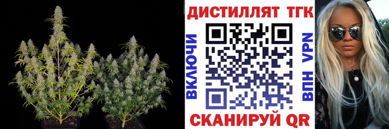 mega онион  Свободный  ТГК вейп с тгк 