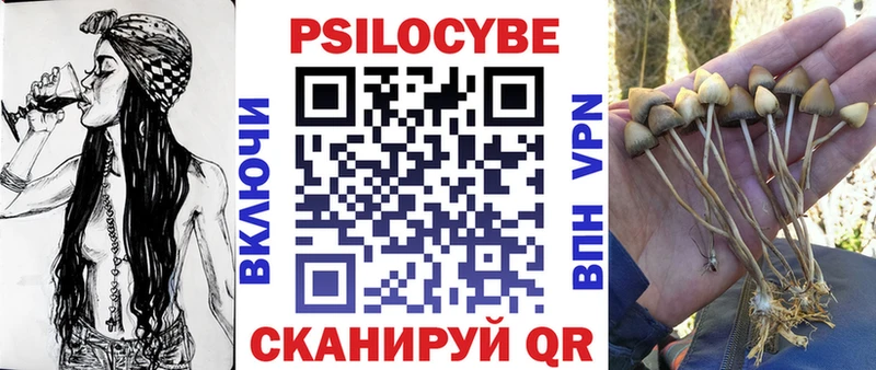 Галлюциногенные грибы Psilocybe  Свободный 
