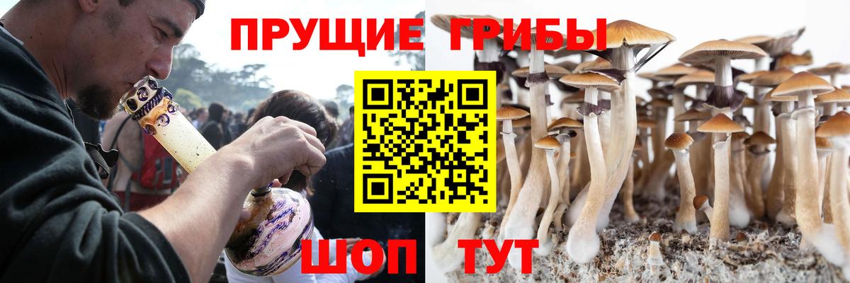 Галлюциногенные грибы мицелий  наркота  Псилоцибиновые грибы Psilocybine cubensis  Свободный  Вход с VPN 